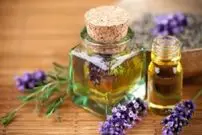 فروش روغن بنفشه در مقابل مجلس