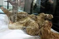 (ویدئو) تصاویری از تنها مومیایی نمکی جهان در ایران