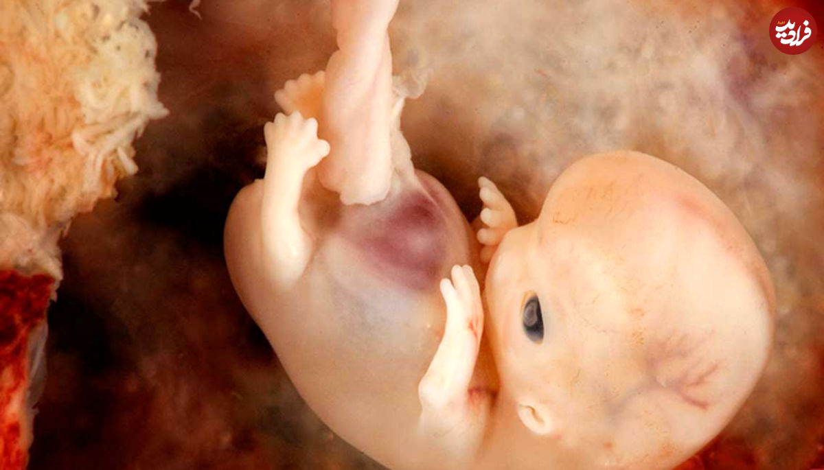 باورهای رایج در مورد جنین و زنان باردار