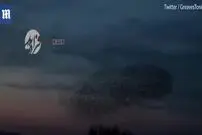 ویدیو/ رقص گروهیِ اعجاب‌آور و چشم‌نواز پرندگان مهاجر