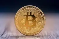 قیمت بیت کوین، امروز ۱۴۰۰/۰۹/۱۶