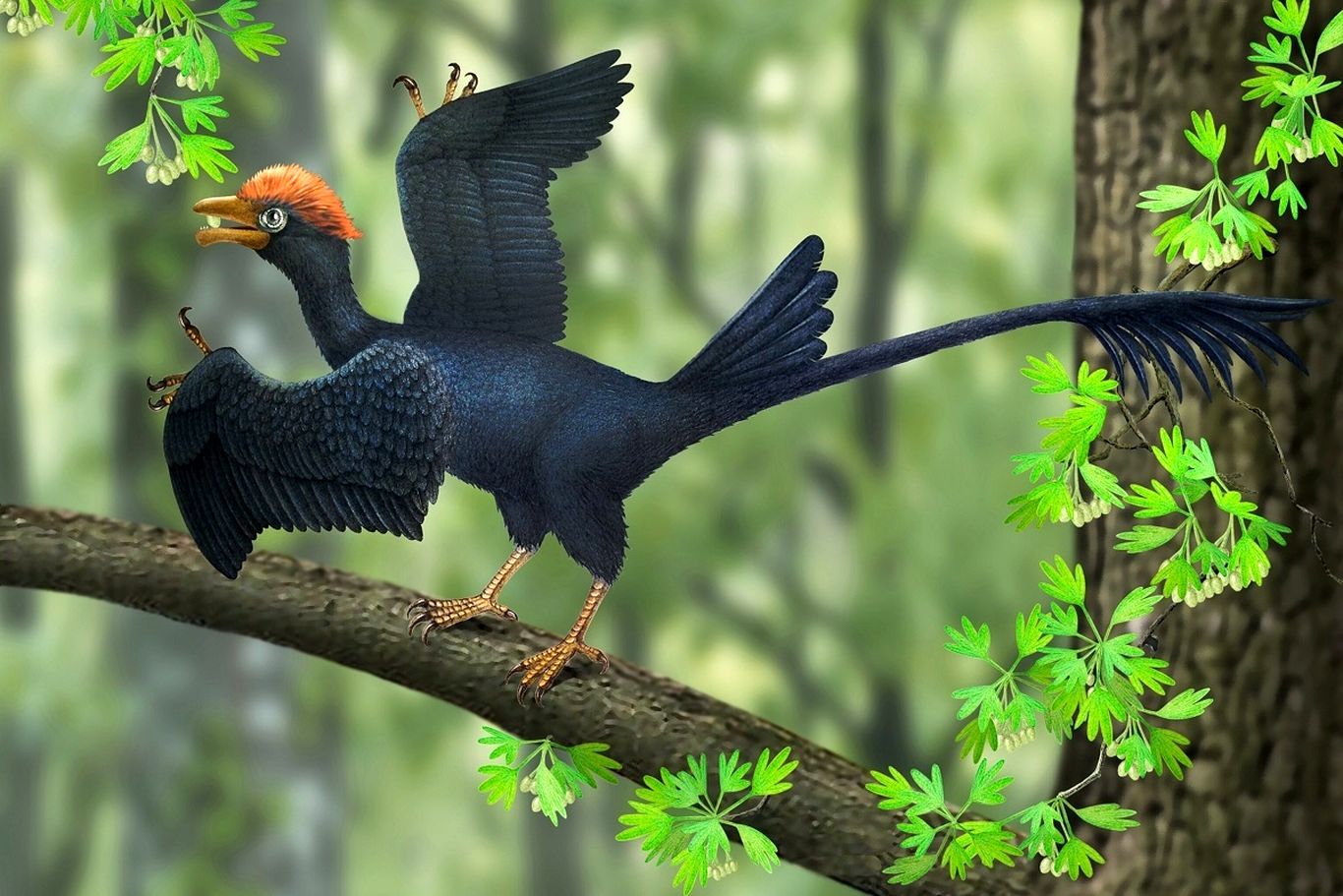 بازسازی دیجیتالی جمجمه‌ی پرنده‌ی ۱۲۰ میلیون ساله