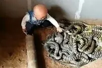 (ویدئو) تصاویری ترسناک از بازی کودک دو ساله با مارها