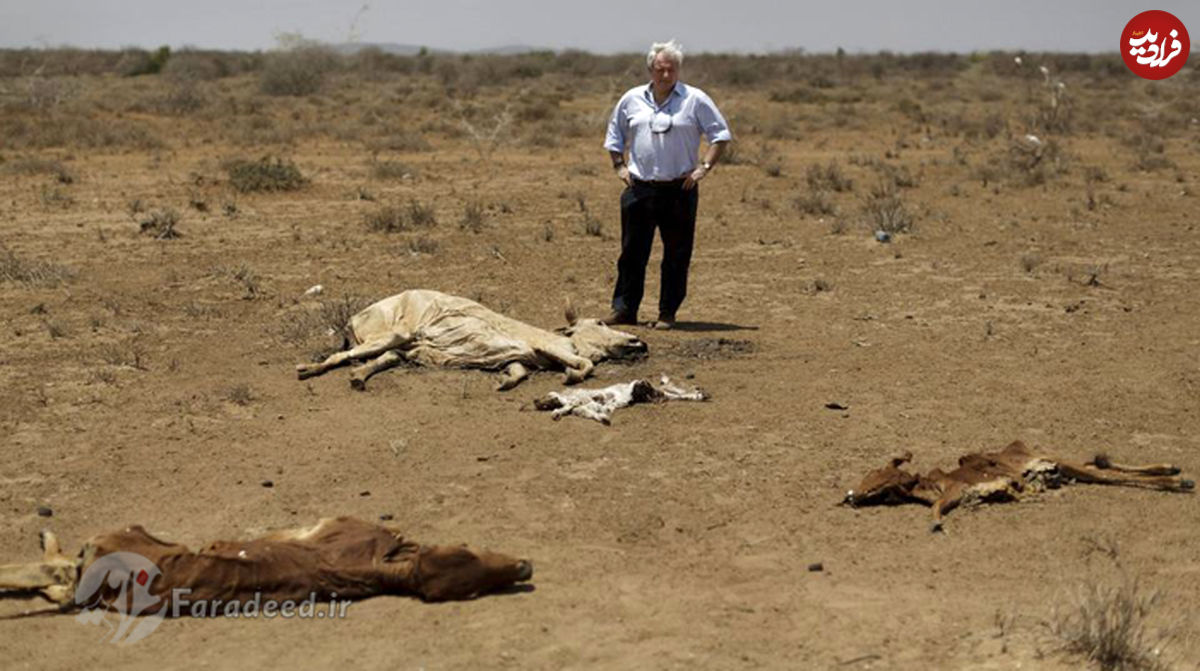 تصاویر/ خشکسالی وحشتناک در کنیا
