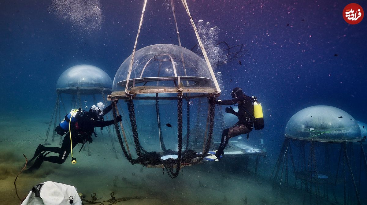 عکس‌هایی از پروژۀ خیال‌انگیز «باغ زیردریایی»
