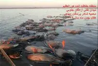 کشتار بی‌رحمانه پرندگان مهاجر در هورالعظیم