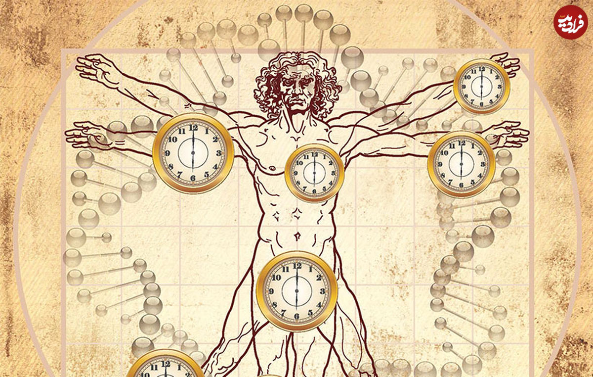 منشاء ساعت زیستی بدن ما کجاست؟