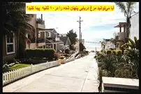 معمای تست تیزبینی؛ آیا می‌توانید مرغ دریایی پنهان شده را در ۱۰ ثانیه پیدا کنید؟