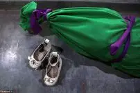از دنیای جالب حیوانات تا شلیک بی‌رحمانه