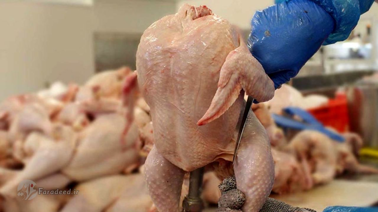 بلوای گرانی و حاشیه کرونایی مرغ؛ قیمت روز مرغ به چقدر رسید؟