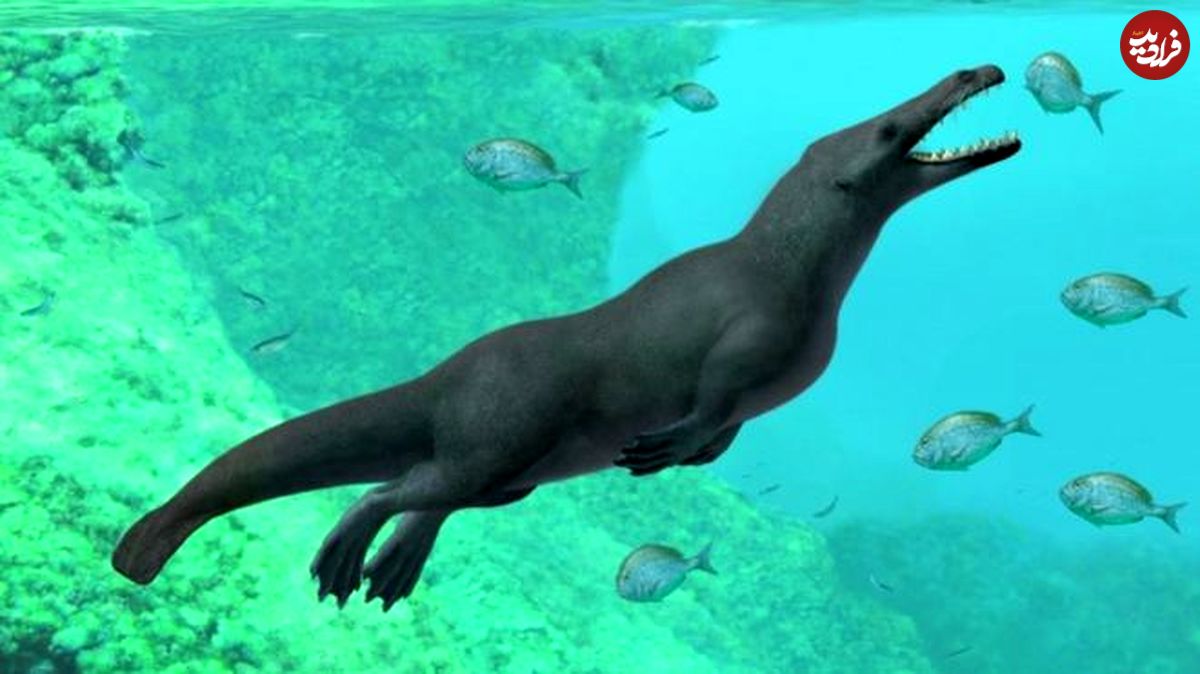 فسیل ۴۳ میلیون ساله نهنگ چهارپا