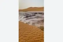 (ویدئو) پدیده‌ای نادر در عربستان؛ سیل در کویر جاری شد!