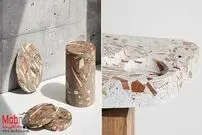 (تصاویر) جنگل بانک؛ ماده جدید جایگزین چوب