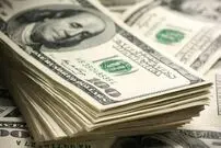 قیمت دلار و ارز؛ امروز 24 دی 1397