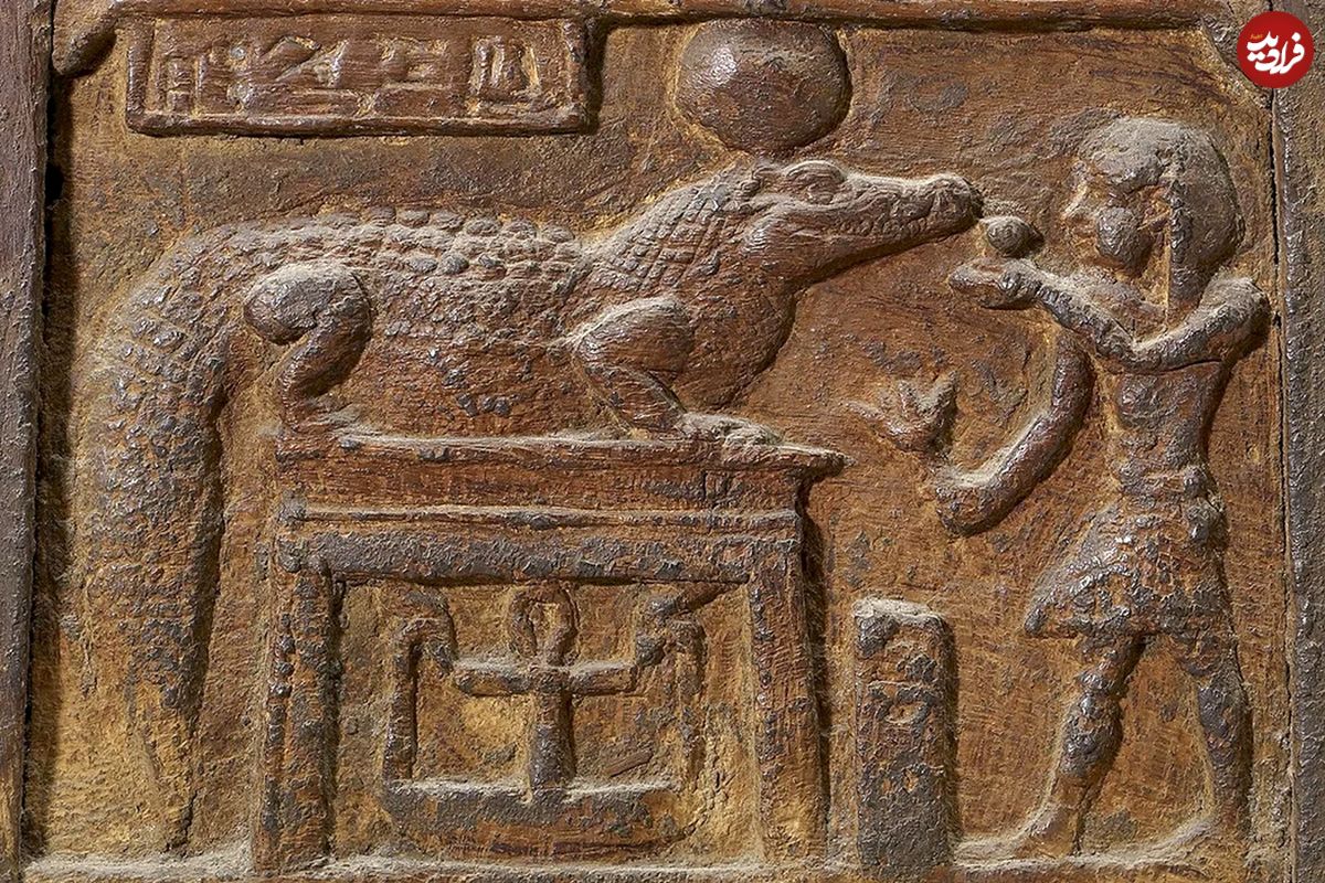 راز تمساح‌های کشف شده در گورهای مصری