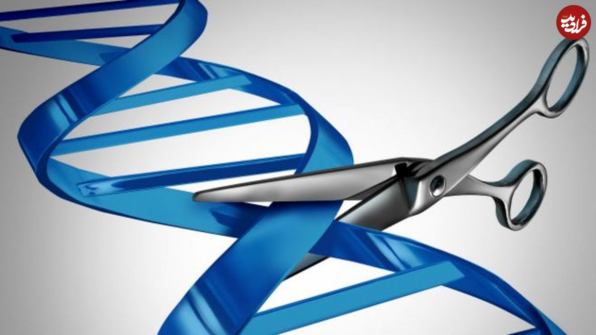 مجوز پیرایش ژنتیکی رویان انسان در بریتانیا صادر شد