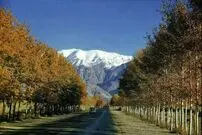 (تصاویر) خیابانی که بیشتر تهرانی‌ها با آن خاطره دارند!
