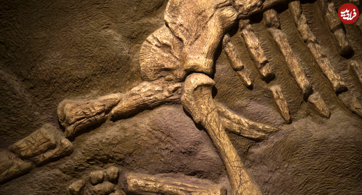 سیارک عامل اصلی انقراض دایناسور‌ها