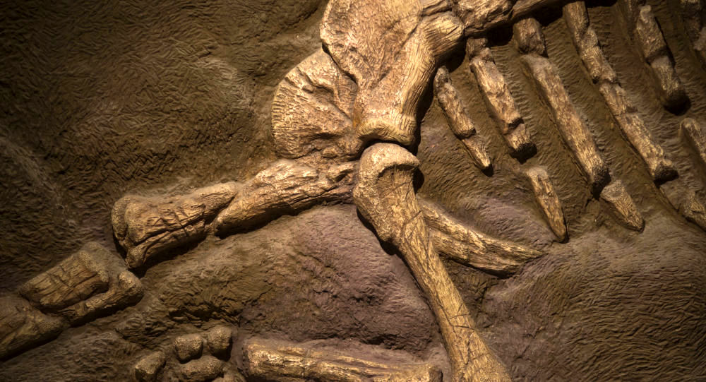 سیارک عامل اصلی انقراض دایناسور‌ها
