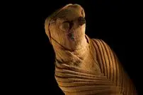 تصاویری از عجیب‌ترین مومیایی‌های مصری؛ از مومیایی گربه تا تابوت موش!