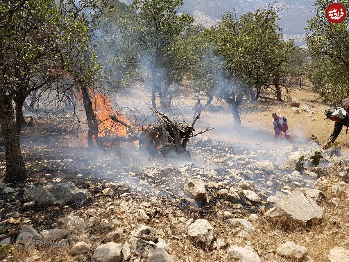 زاگرس جنوبی در آتش؛ آخرین وضعیت آتش سوزی جنگل‌های گچساران
