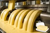 ببینید| فرآیند تماشایی تولید «کره» در کارخانه ای در ایتالیا