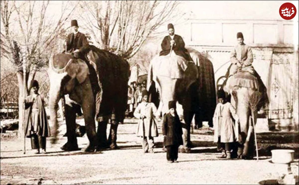 (ویدئو) داستان جالب ساخت اولین باغ وحش ایران