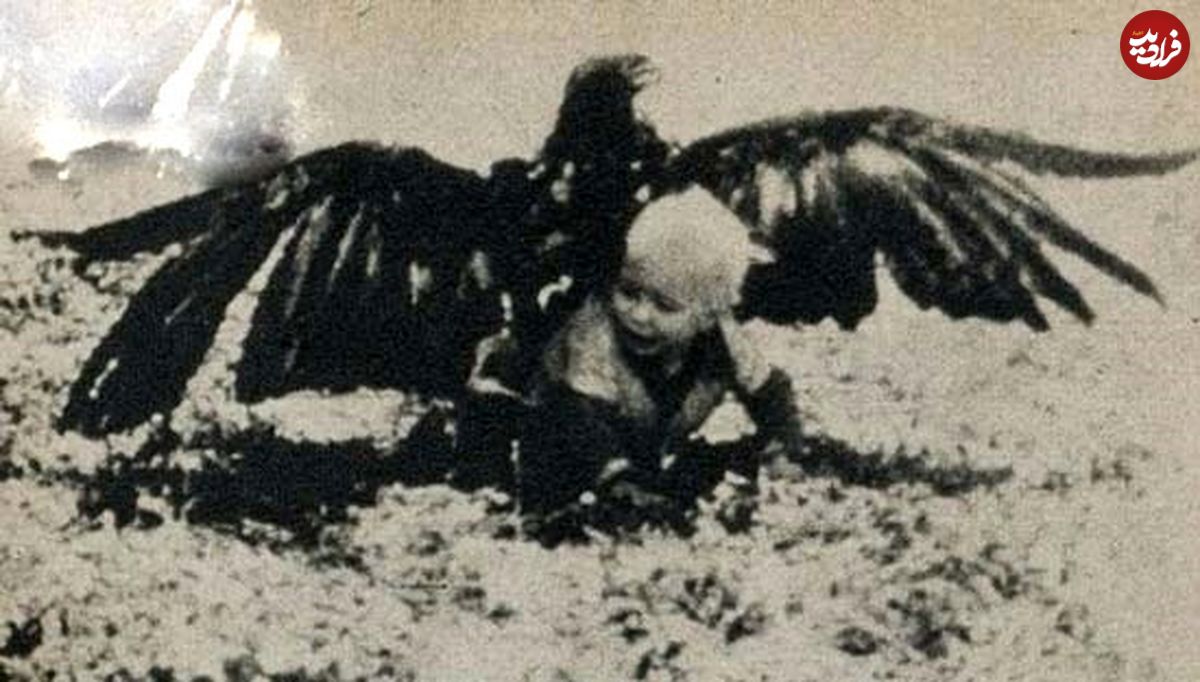 عکس/ شکار پسر بچه‌ای ۳ ساله توسط عقاب!