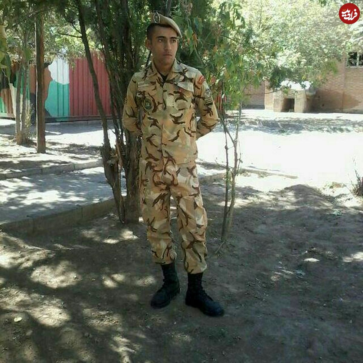 تراژدی در پادگان عجب شیر برای نجات یک سگ