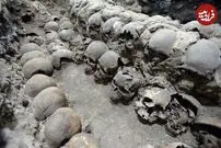 ۵ کشف پربیننده باستانی در طول ۲۴ ساعت گذشته