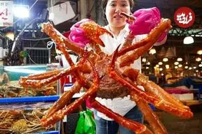 ببینید| غذای خیابانی در کره؛ پخت سوپ با شاه خرچنگ و تخم مرغ در سئول