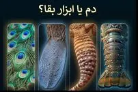 دم؛ شاهکار مهندسی طبیعت + اینفوگرافیک
