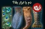 دم؛ شاهکار مهندسی طبیعت + اینفوگرافیک