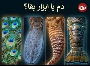 دم؛ شاهکار مهندسی طبیعت + اینفوگرافیک