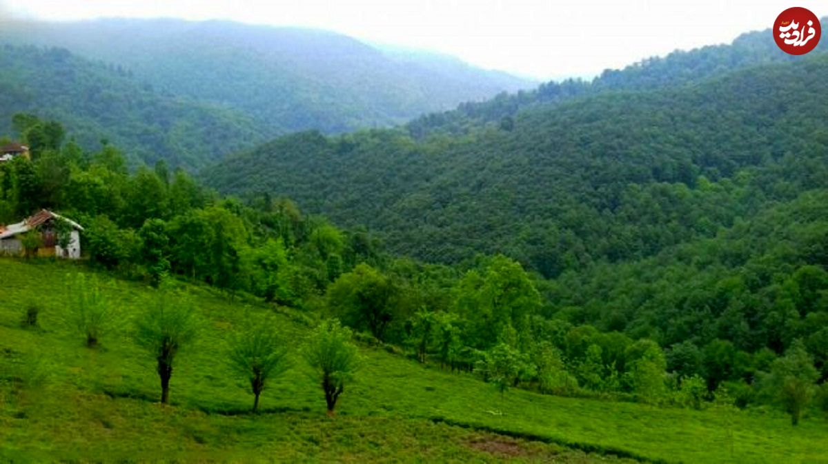 (عکس) سفر به ایران قدیم؛ بازاری در شمال ایران؛ ۸۲ سال قبل