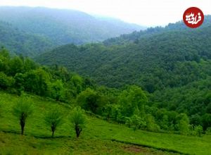 (عکس) سفر به ایران قدیم؛ بازاری در شمال ایران؛ ۸۲ سال قبل