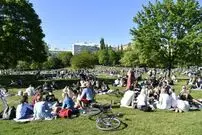بالاترین سرانه مرگ کرونایی در سوئد