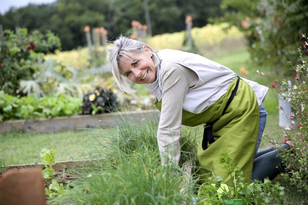 باغبانی درمانی و بهبود زندگی سالمندان