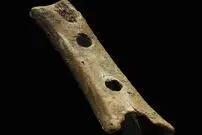معمای 40 سالۀ یک تکه «استخوان خرس»