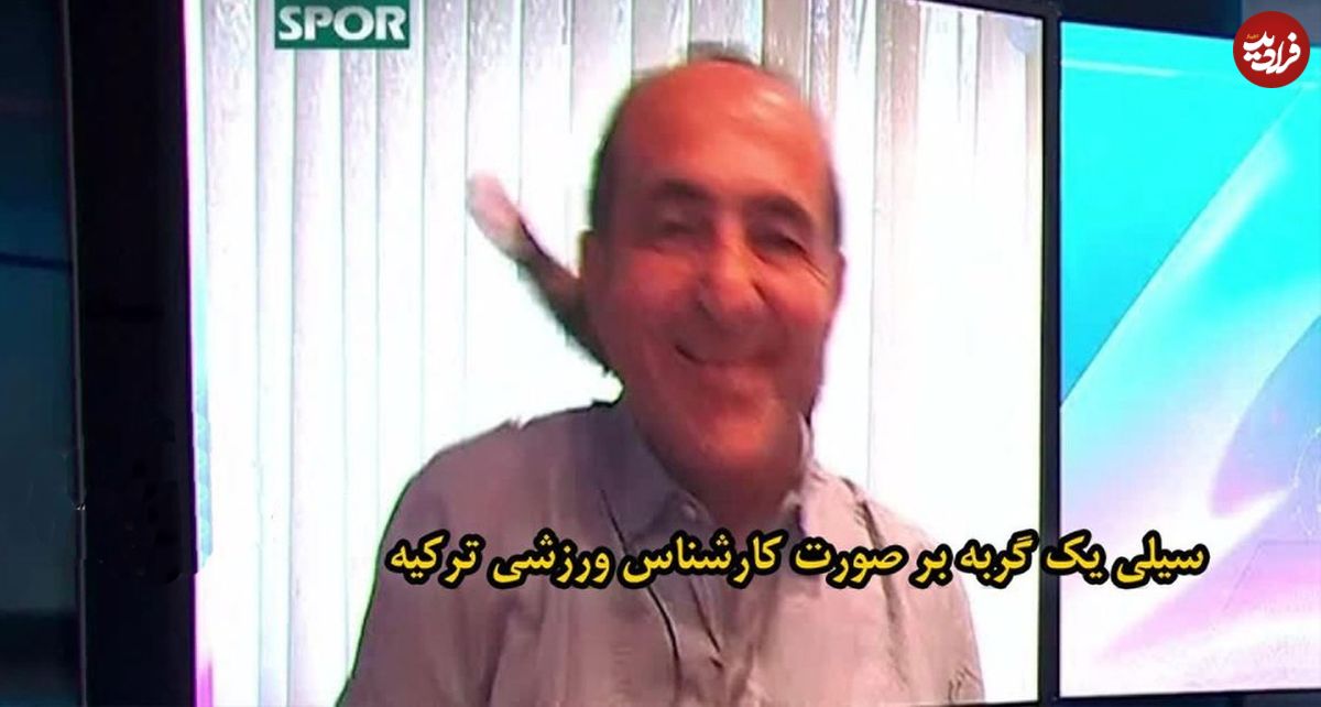 (ویدیو) سیلی عجیب گربه به مهمان برنامه تلویزیونی در پخش زنده!