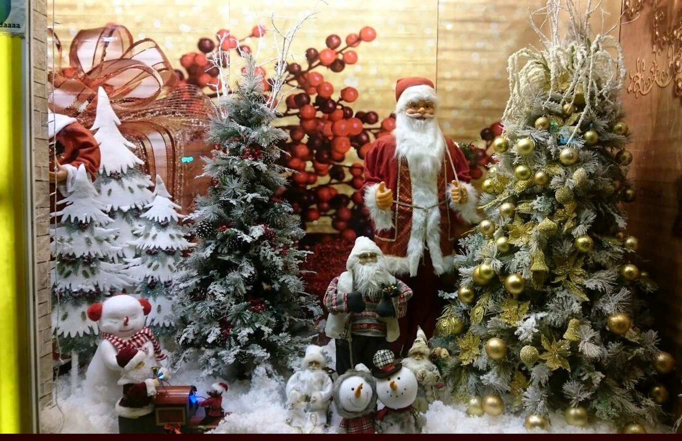 جزئیات قیمت نجومی و باورنکردنی کاج‌های کریسمس در تهران