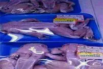 عکس/ فروش گوشت قورباغه در تهران!