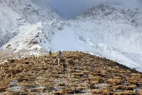 تصاویر/ در جستجوی هواپیمای تهران-یاسوج