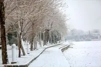 (ویدئو) بارش زیبای برف در تهران