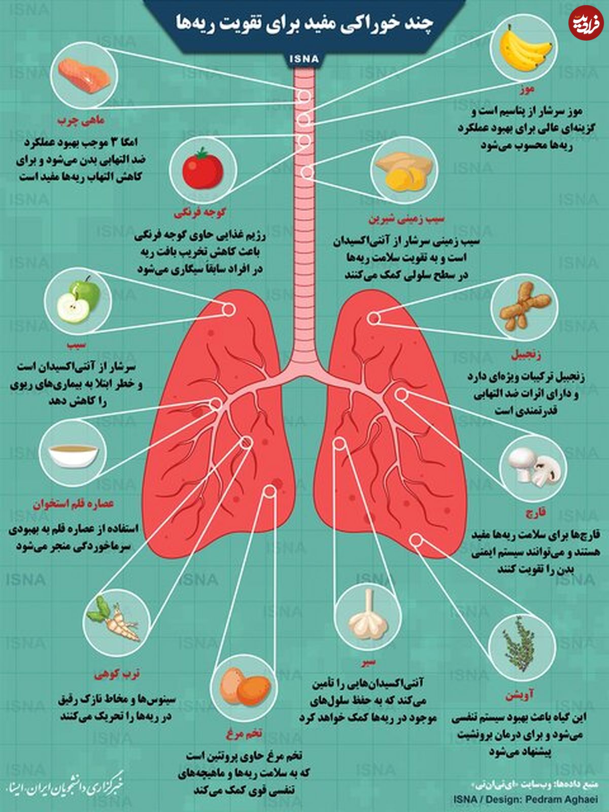 تصویر/ چند خوراکی مفید برای تقویت ریه‌ها