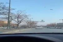 (ویدئو) علاقه عجیب لک لک‌ها به تیر چراغ برق‌های بوکان