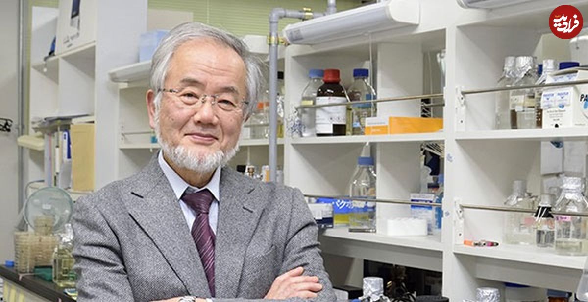 جایزه نوبل پزشکی به دانشمندی از ژاپن رسید