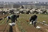 ادعای جروزالم‌پست: ایران برای فلج کردن کشاورزی اسرائیل به تایلند پیشنهادی مخفیانه داده بود