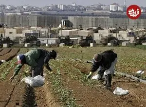 ادعای جروزالم‌پست: ایران برای فلج کردن کشاورزی اسرائیل به تایلند پیشنهادی مخفیانه داده بود