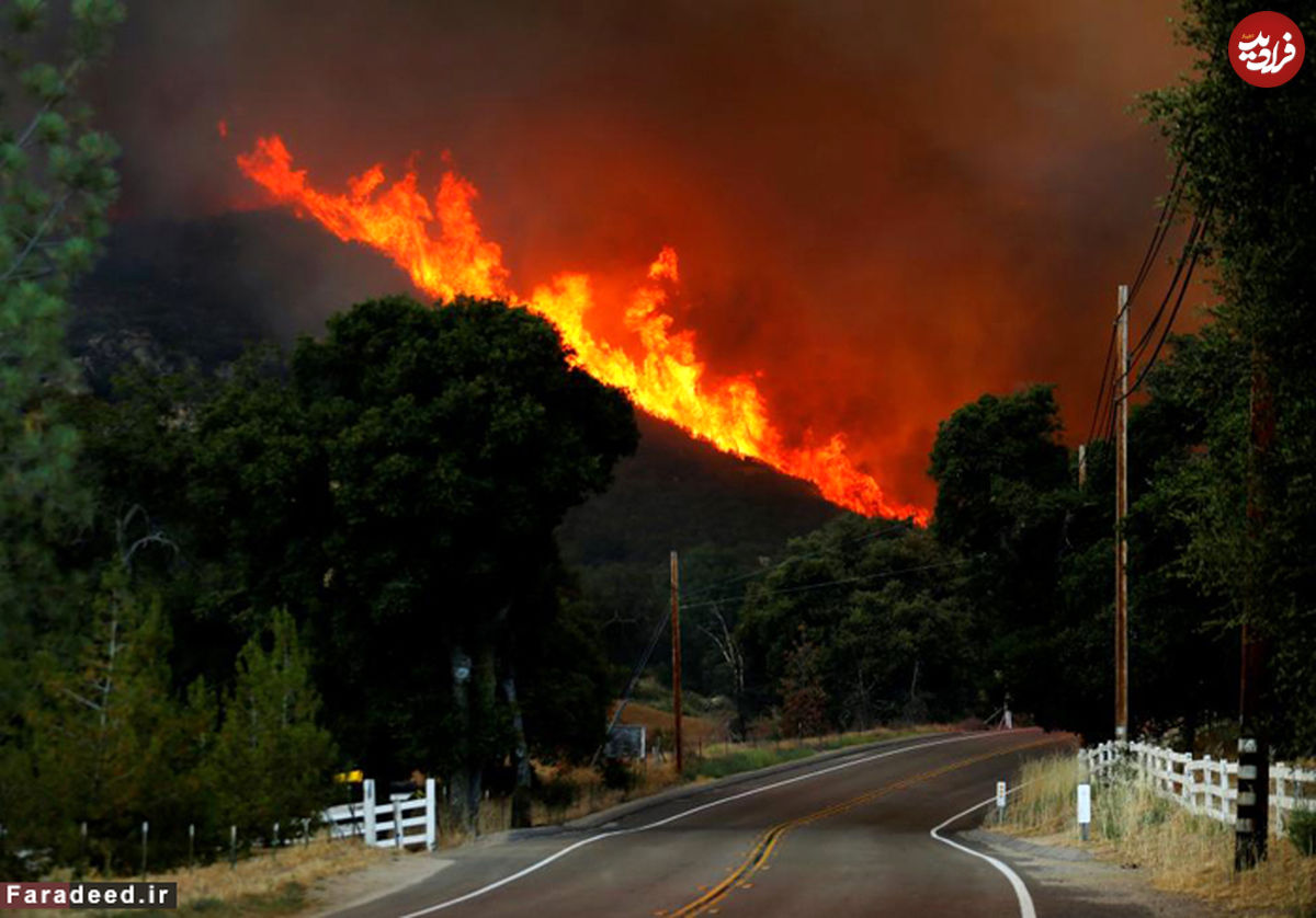 تصاویر/ جنگل‌های کالیفرنیا میان آتش